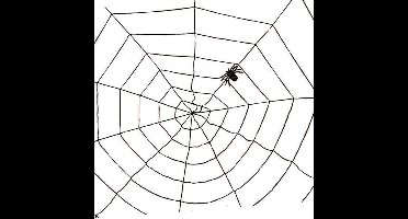 Spinnenweb Koord + 1 Spin | Zwart