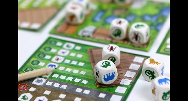 White Goblin Games Dobbelspel Zooloretto (nl) 14-delig