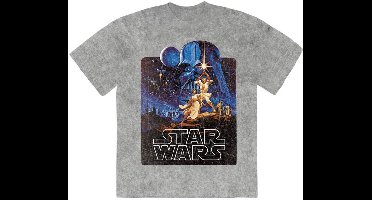 Disney Star Wars - Luke & Leia Pose Heren Tshirt - L - Grijs