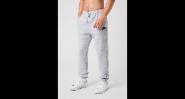 Bjorn Borg Centre Joggingbroek Mannen - Sportbroek Heren Lichtgrijs - Maat XL