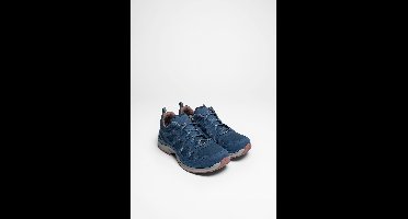 Innox Evo II GTX Ws Dames (Staalblauw/Oudroze)