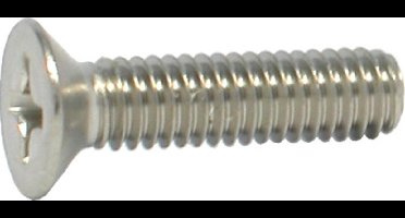 Elcee Kelfort Metaalschroef RVS platte kop phillips M4 x 6mm