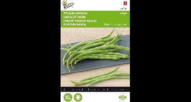 Sperzieboon (Phaseolus vulgaris) - Stamslabonen Argus - Buzzy - Moestuin - bloeit in Oktober / Juli / Augustus / September