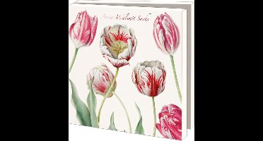 Kaartenmapje   Tulpen Anita Walsmit-Sachs   2x5 motieven