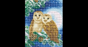 Diamond painting - Crystal art kit Moonlight Perch