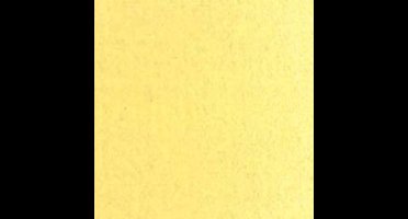 Van Gogh olieverf 40 ml - 222 Napelsgeel Licht