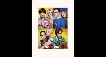 THE BIG BANG THEORY - Collector Print 30 x 40 cm