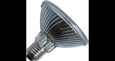 Schiefer E27 PAR30 Halogeen Spot | 75W 2750K 220V/240V 10° | Ø96mm Dimbaar