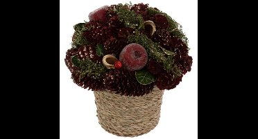 Compositie in pot met appels, hoogte 19 cm