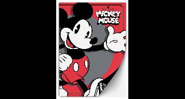 Mickey  Mouse Notitieboek