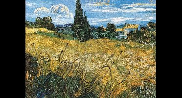 Kunstdruk Vincent Van Gogh - Campo di grano 80x60cm