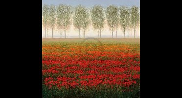 Kunstdruk Park - Morning Mist 68x68cm