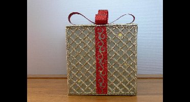 Luca Lighting kerst geschenk met verlichting