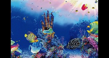 SuperFish Deco Poster F 120x49CM