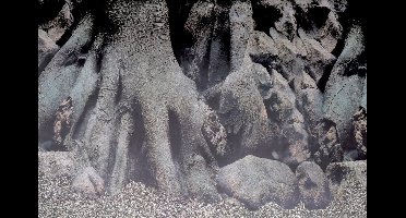 Decor Poster D5 - 120 x 61 cm