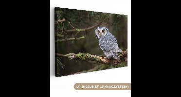 OneMillionCanvasses - Canvas schilderij - Uil - Vogel - Takken - Mos - Canvas doek - Schilderijen woonkamer - 180x120 cm - Wanddecoratie
