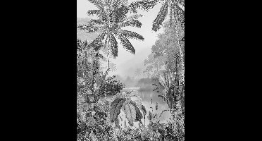 Komar - Fotobehang - Lac - Tropical - Black - & - White - 200x270 - cm