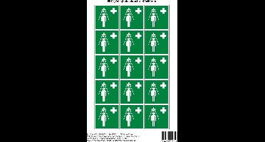 Pictogram sticker E012 Veiligheidsdouche - 50x50mm 15 stickers op 1 vel