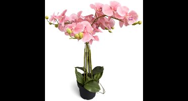 Orchidee new pink in pot H 65 cm kunstplant Oosterik Home