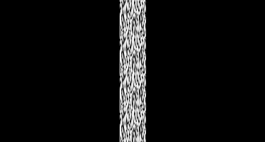 Fotobehang Zebrastrepen