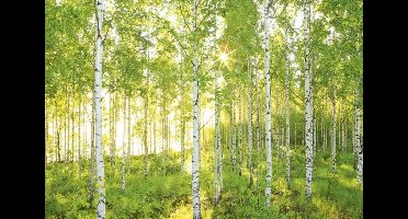 Komar Behang National Geographic Sunday fotobehang