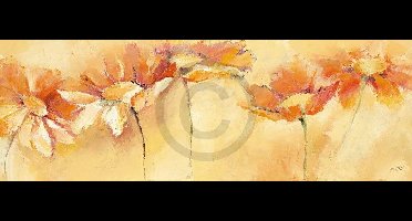 Kunstdruk Elena Filatov - Feldblumenparade 99x34cm