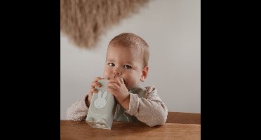 Nijntje Drinkpakjeshouder - Groen