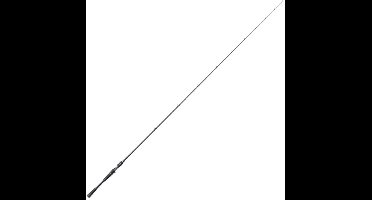 Shimano Fishing Poison Adrena Baitcasting Hengel Zilver 2.21 m / 10-30 g