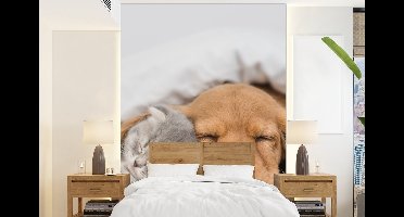 Behang - Fotobehang huisdieren - hond - Kat - Deken - Breedte 160 cm x hoogte 220 cm