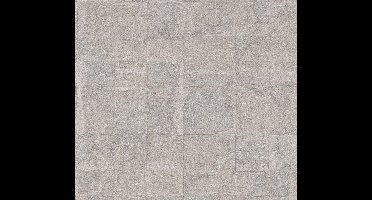 METALLIC TEGELLOOK BEHANG | Industrieel - Zilver Roze Grijs - LivingWalls Stories of Life