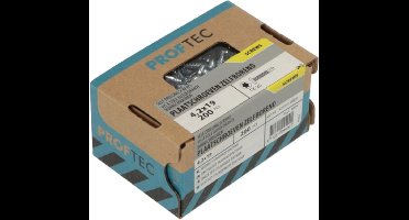 Proftec zelfb. Plaatschroef 4.2x19mm verz. TX20 CK (200)