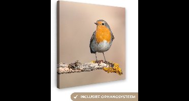 OneMillionCanvasses - Canvas - Schilderij - Roodborstje - Vogel - Takken - Dier - Foto op canvas - Slaapkamer - 50x50 cm - Canvas doek