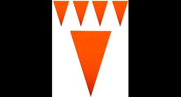 Vlaggenlijn oranje 10 meter