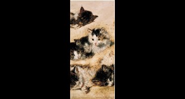 Boekenlegger Magnetisch - A study of kittens, Henriette Ronner-Knip