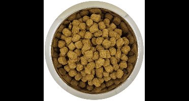 Yourdog Chien français blanc et orange Hondenbrokken Volwassen 12 kg