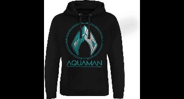 DC Comics Aquaman Hoodie/trui -L- Distressed Shield Zwart