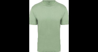 King Essentials The Steve T-Shirt Lichtgroen - Maat S - Heren - Casual T-shirts
