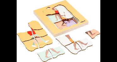 Groeipuzzel Evolutie van de mens - Educo