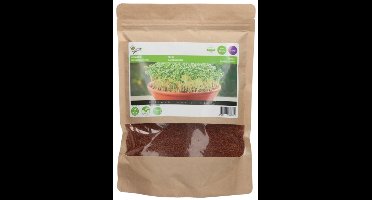 Tuinboon (Lepidium sativum) - Tuinkers Gewone 500g (Grootverpakking)