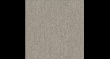 Passion uni beige 37030