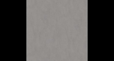 Dutch Wallcoverings Vliesbehang Uni Grijs 7364-11