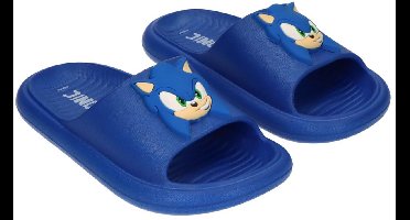 Sonic the Hedgehog Slippers Jongens Blauw Badslippers Meisjes
