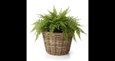 VD Leeden Plantenmand Klassiek - rond - bruin - 29 x 20 cm - rotan - gevlochten riet - bloempot