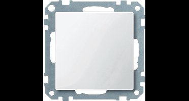 Blindplaat - Polarwit  - Systeem M - Schneider Electric - MTN391619