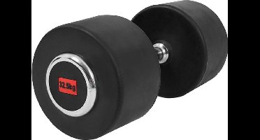 Gorilla Sports Vaste Halter 32,5 kg - Professionele Dumbbell - Rubber