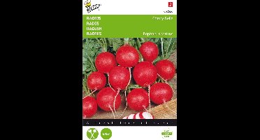 Buzzy® Radijs Cherry Belle