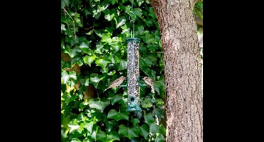 CJ Wildlife Voedersilo voor Tuinvogels - Challenger - 4 Openingen - Vogelvoedersilo voor Kleine Vogels - Hangend Vogelvoederhuisje van 38cm - Vogelvoer Silo - Kunststof - Groen