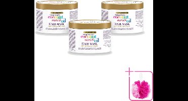 3 x OGX - Coconut Miracle Oil - Haarmasker - Intens Voedend - Voor Beschadigd Haar - 300 ml - Bulkverpakking - Haarmasker - Douchemop - Kokosolie