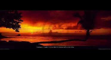 Kunstdruk Tom Mackie - Tropical Beach at Sunset 95x33cm