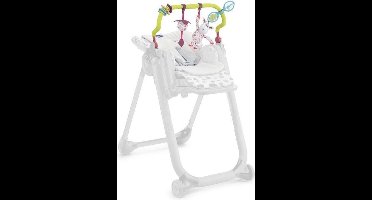 Chicco Polly Progres5 Verkleinkussen - Inclusief Speelgoedboog - Vanaf 0 maanden - Babygym -Wit